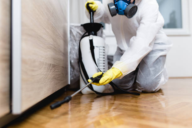 Best Pest Control for Homes  in Brentwood, MD