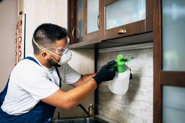 Best Bed Bug Extermination  in Brentwood, MD
