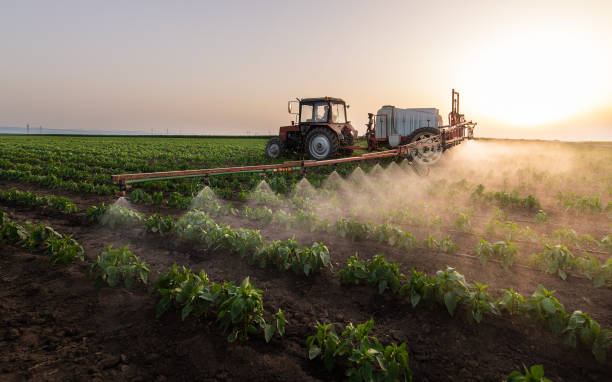 Best Commercial Pest Control Services  in Brentwood, MD