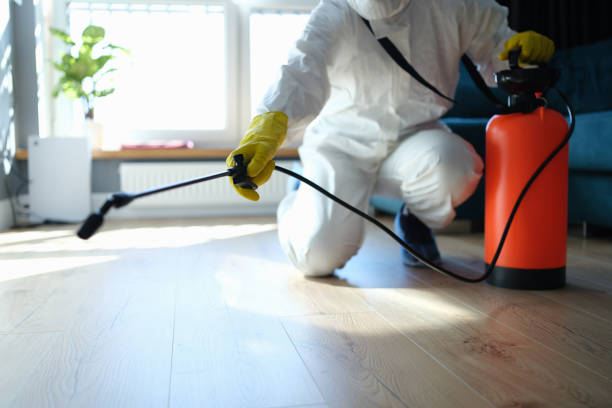 Reliable Brentwood, MD Pest Control Solutions
