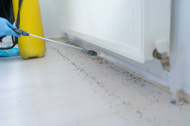 Best Pest Removal Services  in Brentwood, MD