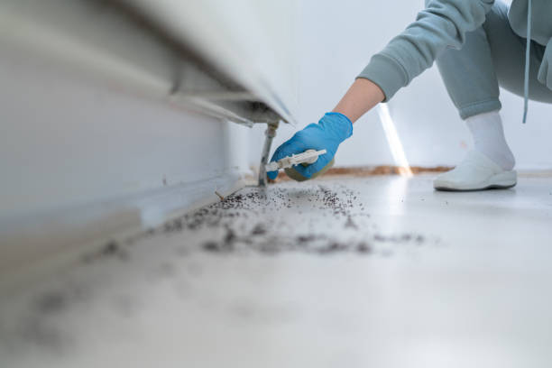Best Insect Control  in Brentwood, MD